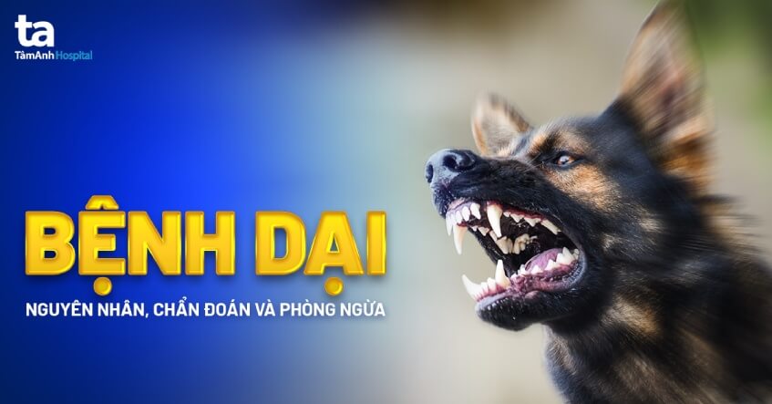 Tăng cường các biện pháp cấp bách phòng, chống bệnh Dại ở động vật